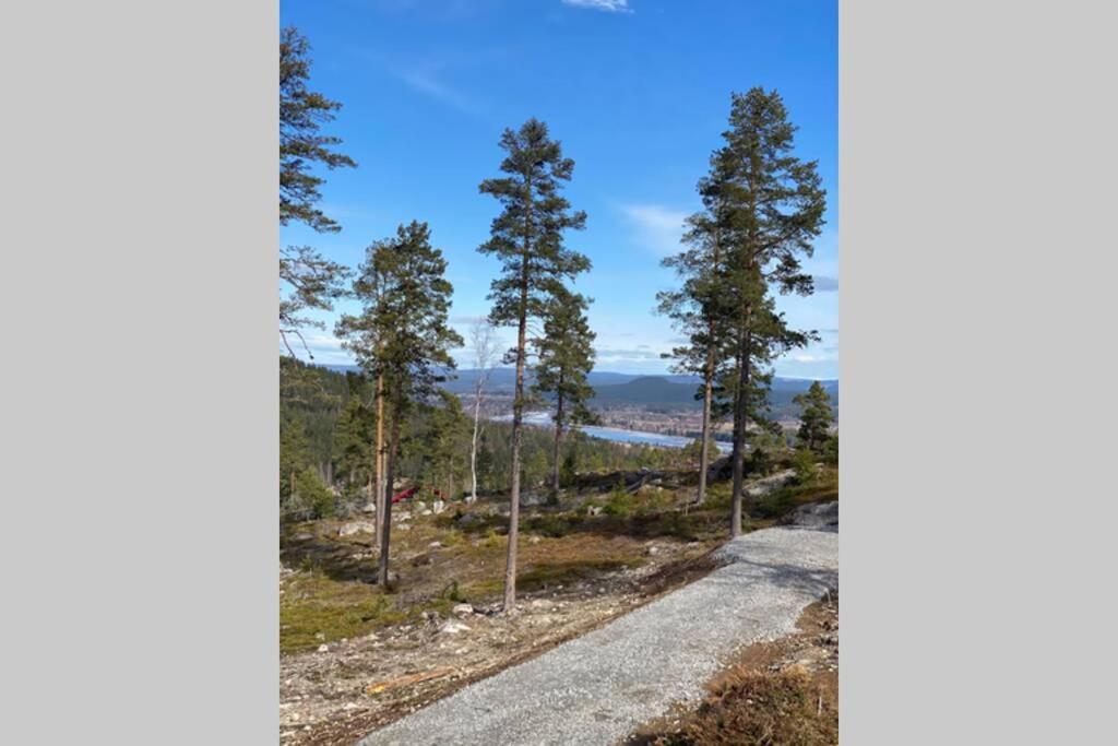 Modern Naera Skidbacken Holiday home Jarvso